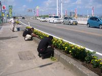 植栽活動