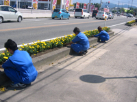 植栽活動