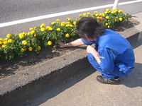 植栽活動